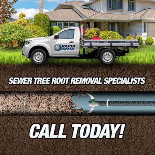Sewer Tree Root Removal Specialists In Camp Hill